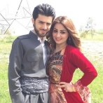 Perwaz hussein